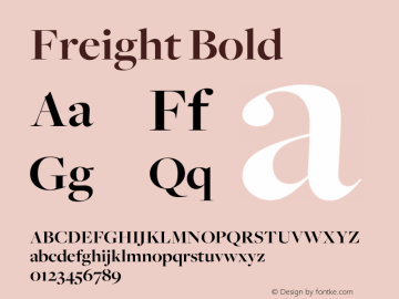 Freight Bold Version 1.000;PS 001.001;hotconv 1.0.38 Font Sample