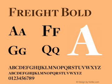 Freight Bold Version 1.000;PS 001.001;hotconv 1.0.38图片样张