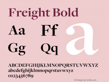 Freight Bold Version 1.000;PS 001.001;hotconv 1.0.38 Font Sample