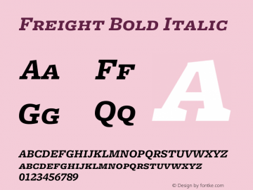Freight Bold Italic Version 1.000;PS 001.001;hotconv 1.0.38 Font Sample