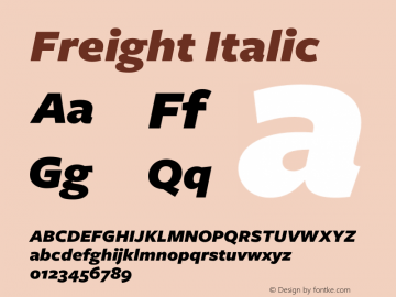 Freight Italic Version 1.000;PS 001.001;hotconv 1.0.38图片样张