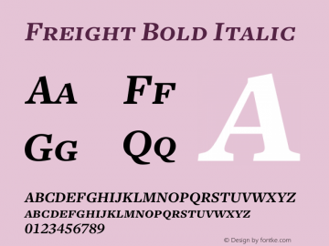 Freight Bold Italic Version 1.000;PS 001.001;hotconv 1.0.38 Font Sample