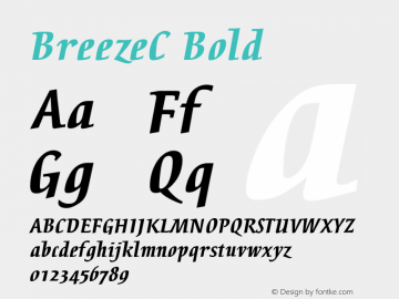 BreezeC Bold OTF 1.0;PS 1.000;Core 116;AOCW 1.0 161 Font Sample
