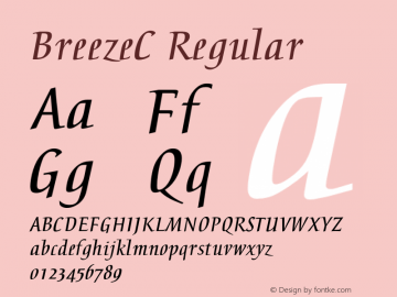 BreezeC Regular OTF 1.0;PS 1.000;Core 116;AOCW 1.0 161 Font Sample