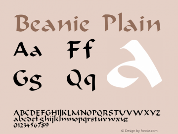 Beanie Plain Unknown图片样张