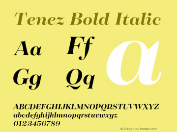 Tenez Bold Italic Version 1.000;PS 001.000;hotconv 1.0.88;makeotf.lib2.5.64775 Font Sample