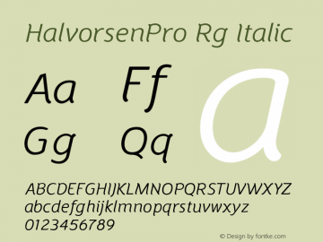 HalvorsenPro Rg Italic Version 2.000图片样张