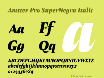 Amster Pro SuperNegra Italic Version 1.000;PS 001.000;hotconv 1.0.70;makeotf.lib2.5.58329图片样张