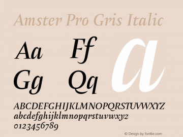 Amster Pro Gris Italic Version 1.000;PS 001.000;hotconv 1.0.70;makeotf.lib2.5.58329 Font Sample