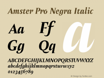 Amster Pro Negra Italic Version 1.000;PS 001.000;hotconv 1.0.70;makeotf.lib2.5.58329 Font Sample