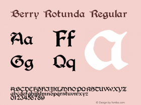 Berry Rotunda Regular Version 1.0图片样张