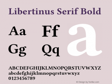Libertinus Serif Bold Version 6.2图片样张