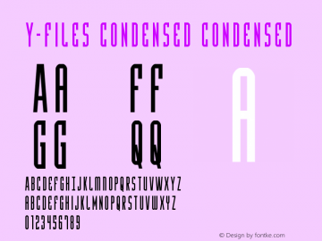 Y-Files Condensed Condensed Version 1.0; 2016图片样张