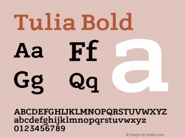 Tulia Bold 1.000 Font Sample