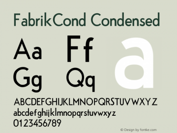 FabrikCond Condensed Version Version 1.5 (20.02.2图片样张