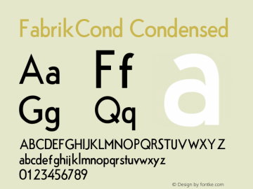FabrikCond Condensed Version Version 1.5 (20.02.2图片样张