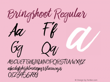 Bringshoot Regular Version 1.000 Font Sample