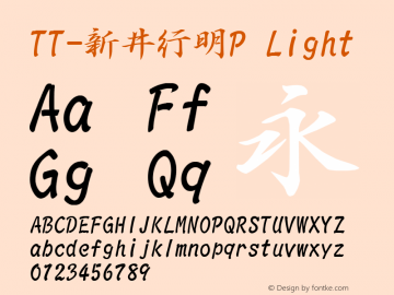 TT-新井行明P Light Version 3.00图片样张