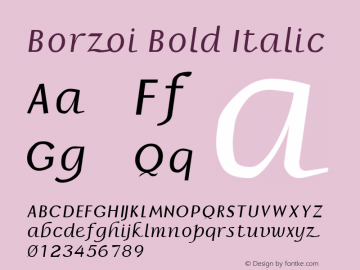 Borzoi Bold Italic Altsys Fontographer 3.5  3/16/92图片样张