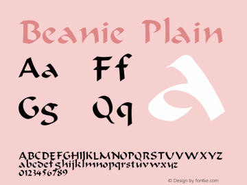 Beanie Plain Beanie图片样张