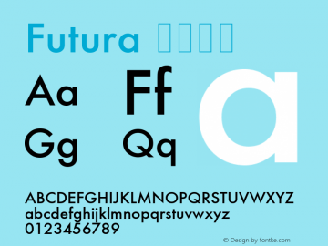 Futura 中等斜体 6.1d5e1 Font Sample