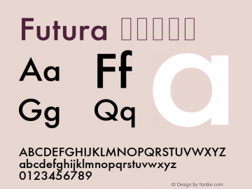 Futura 壓縮加黑體 6.2d1e1 Font Sample