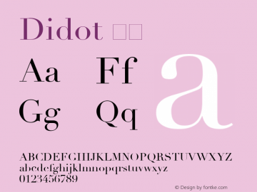 Didot 斜体 6.1d4e1 Font Sample