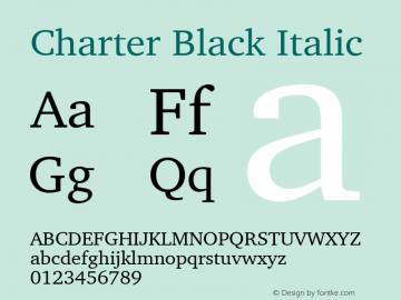 Charter Black Italic 8.0d5e2图片样张