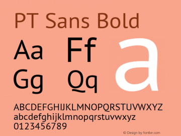 PT Sans Bold 9.0d1e1 Font Sample