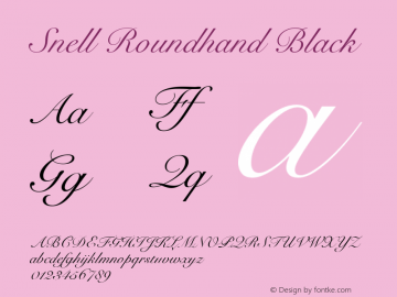 Snell Roundhand Black 9.0d3e1 Font Sample