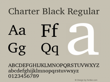 Charter Black Regular 9.0d2e1图片样张