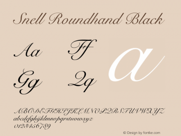 Snell Roundhand Black 10.0d4e1 Font Sample