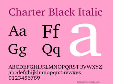 Charter Black Italic 10.01e1图片样张