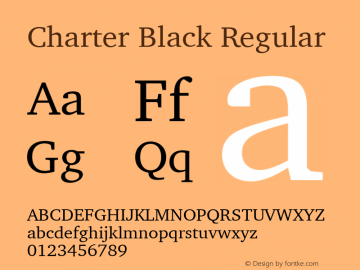 Charter Black Regular 10.01e1图片样张