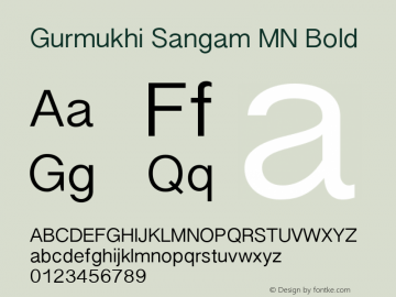 Gurmukhi Sangam MN Bold 7.0d3e1 Font Sample