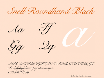 Snell Roundhand Black 10.0d2e1图片样张