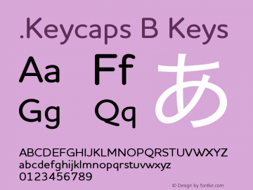 .Keycaps B Keys 10.0d12e1图片样张