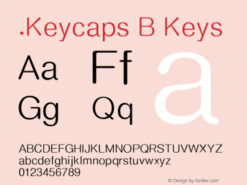 .Keycaps B Keys 10.0d12e1图片样张