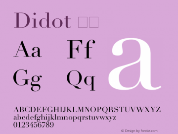 Didot 粗体 6.1d5e1 Font Sample