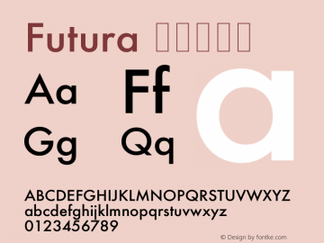 Futura 壓縮加黑體 8.0d1e1 Font Sample