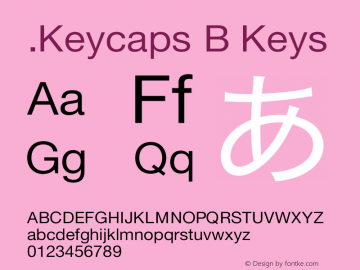 .Keycaps B Keys 10.4d0e3图片样张