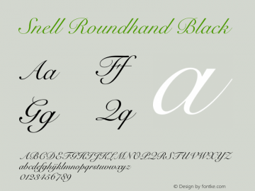 Snell Roundhand Black 10.0d4e1 Font Sample