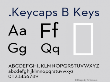 .Keycaps B Keys 10.4d0e3图片样张