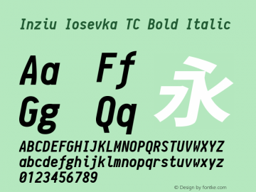 Inziu Iosevka TC Bold Italic Version 1.060图片样张