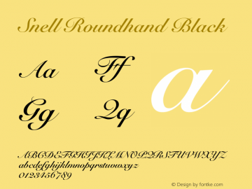 Snell Roundhand Black 7.0d1e3 Font Sample