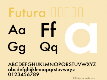Futura 壓縮加黑體 6.1d5e1 Font Sample