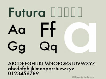 Futura 壓縮加黑體 6.1d5e1 Font Sample