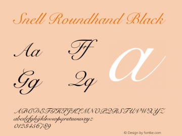 Snell Roundhand Black 1.1d1e1 Font Sample