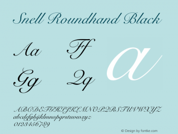 Snell Roundhand Black 1.1d1e1 Font Sample