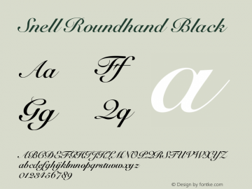 Snell Roundhand Black 7.0d6e3 Font Sample
